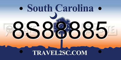 8S88885 South Carolina License Plate