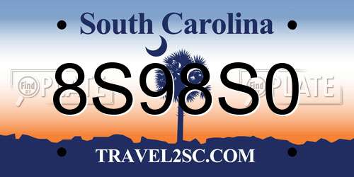 8S98S0 South Carolina License Plate