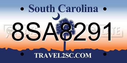 8SA8291 South Carolina License Plate