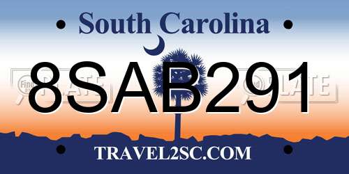 8SAB291 South Carolina License Plate