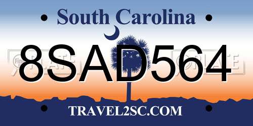 8SAD564 South Carolina License Plate