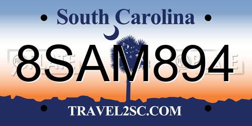 8SAM894 South Carolina License Plate