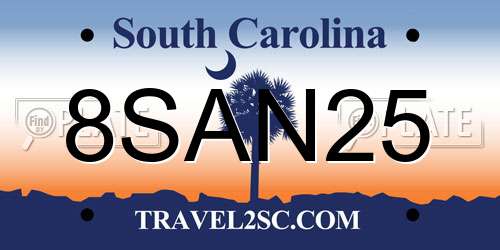 8SAN25 South Carolina License Plate