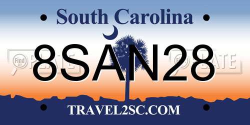 8SAN28 South Carolina License Plate