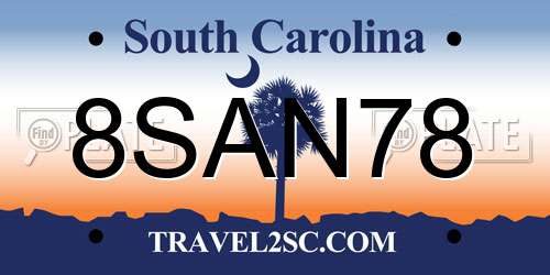 8SAN78 South Carolina License Plate