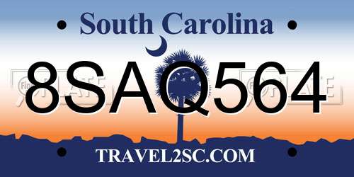 8SAQ564 South Carolina License Plate