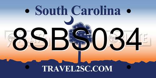 8SBS034 South Carolina License Plate