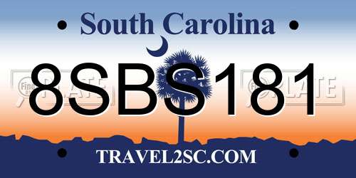 8SBS181 South Carolina License Plate