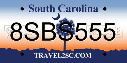 8SBS555 South Carolina License Plate