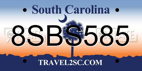 8SBS585 South Carolina License Plate