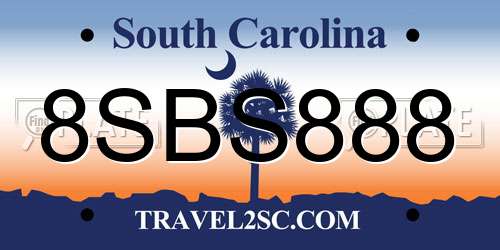 8SBS888 South Carolina License Plate