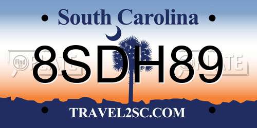 8SDH89 South Carolina License Plate