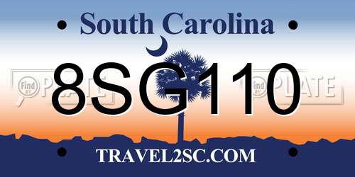 8SG110 South Carolina License Plate