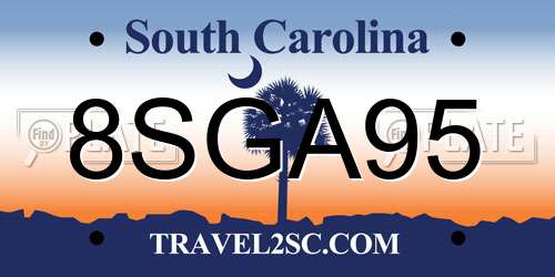 8SGA95 South Carolina License Plate