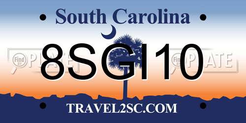 8SGI10 South Carolina License Plate