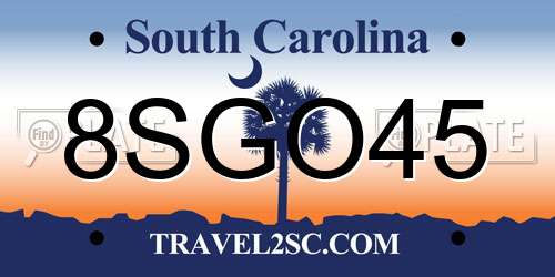 8SGO45 South Carolina License Plate