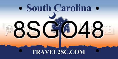 8SGO48 South Carolina License Plate