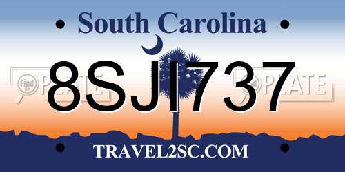 8SJI737 South Carolina License Plate