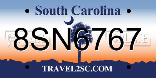 8SN6767 South Carolina License Plate