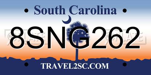 8SNG262 South Carolina License Plate