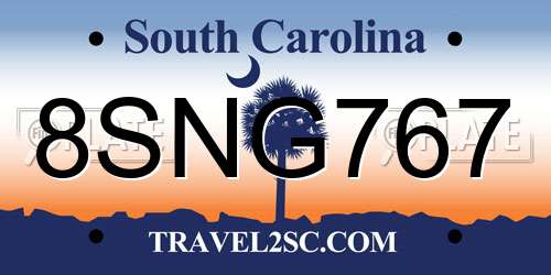 8SNG767 South Carolina License Plate