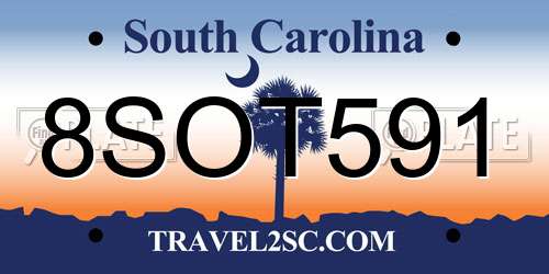 8SOT591 South Carolina License Plate