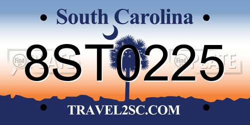 8ST0225 South Carolina License Plate