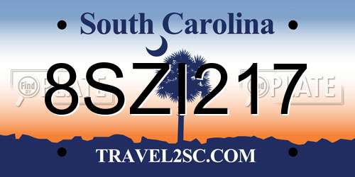 8SZI217 South Carolina License Plate