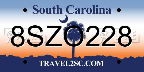 8SZO228 South Carolina License Plate
