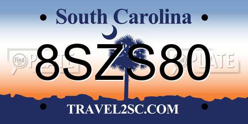 8SZS80 South Carolina License Plate