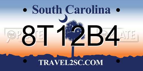 8T12B4 South Carolina License Plate