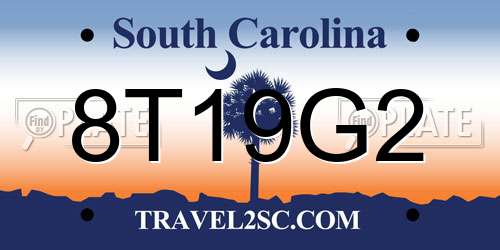 8T19G2 South Carolina License Plate