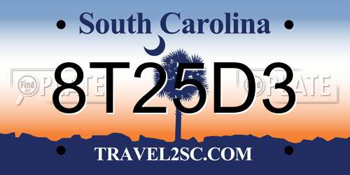 8T25D3 South Carolina License Plate