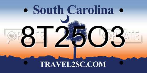 8T25O3 South Carolina License Plate
