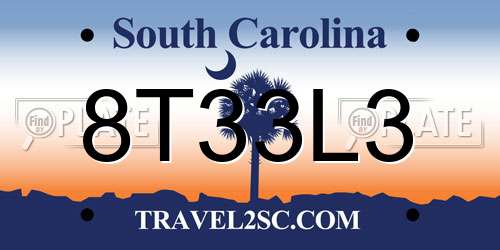8T33L3 South Carolina License Plate