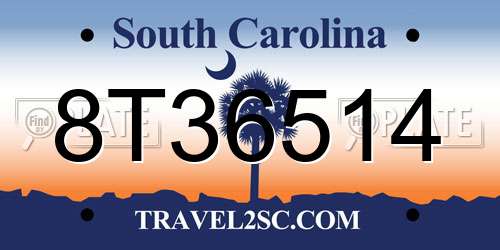 8T36514 South Carolina License Plate