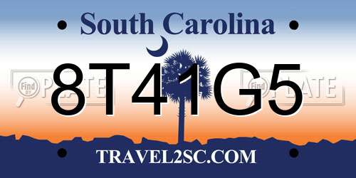 8T41G5 South Carolina License Plate