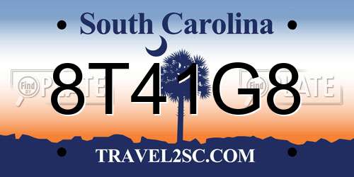 8T41G8 South Carolina License Plate