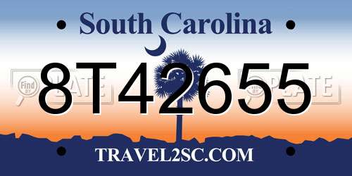 8T42655 South Carolina License Plate