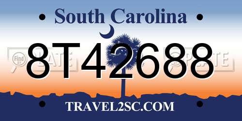 8T42688 South Carolina License Plate