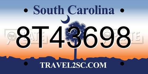 8T43698 South Carolina License Plate