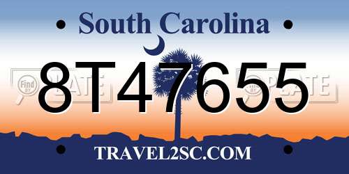 8T47655 South Carolina License Plate