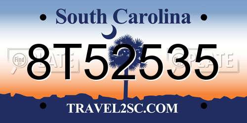 8T52535 South Carolina License Plate