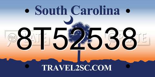 8T52538 South Carolina License Plate