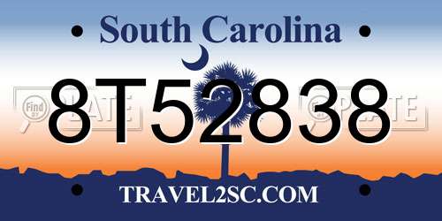 8T52838 South Carolina License Plate