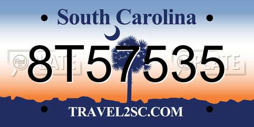 8T57535 South Carolina License Plate