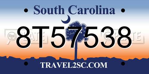 8T57538 South Carolina License Plate