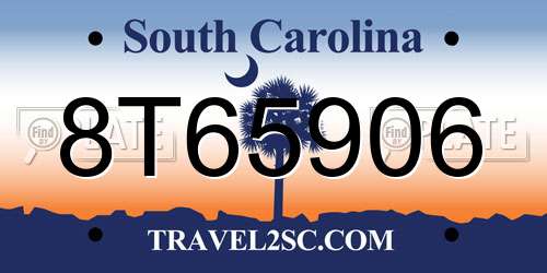 8T65906 South Carolina License Plate