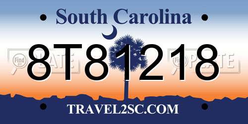 8T81218 South Carolina License Plate