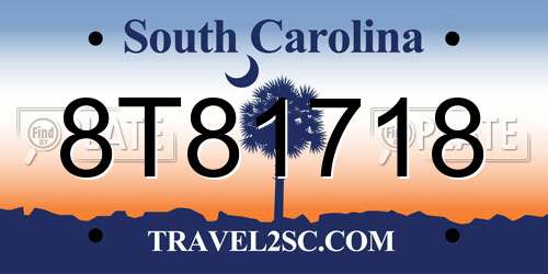 8T81718 South Carolina License Plate